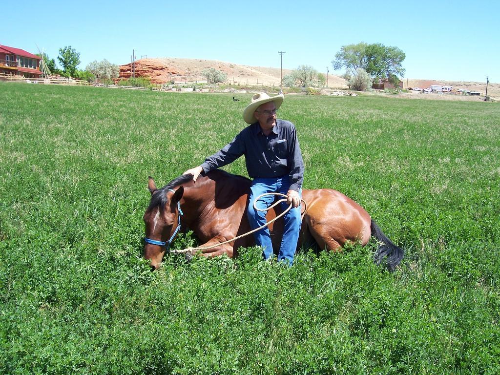ホテル K3 Guest Ranch コーディ エクステリア 写真