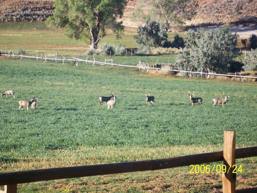 ホテル K3 Guest Ranch コーディ エクステリア 写真